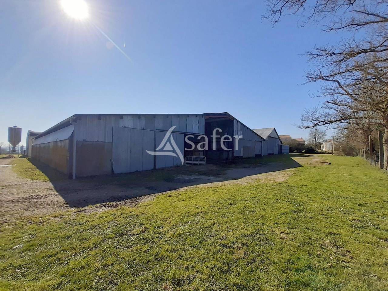 Schapen exploitatie Koop Deux-Sèvres