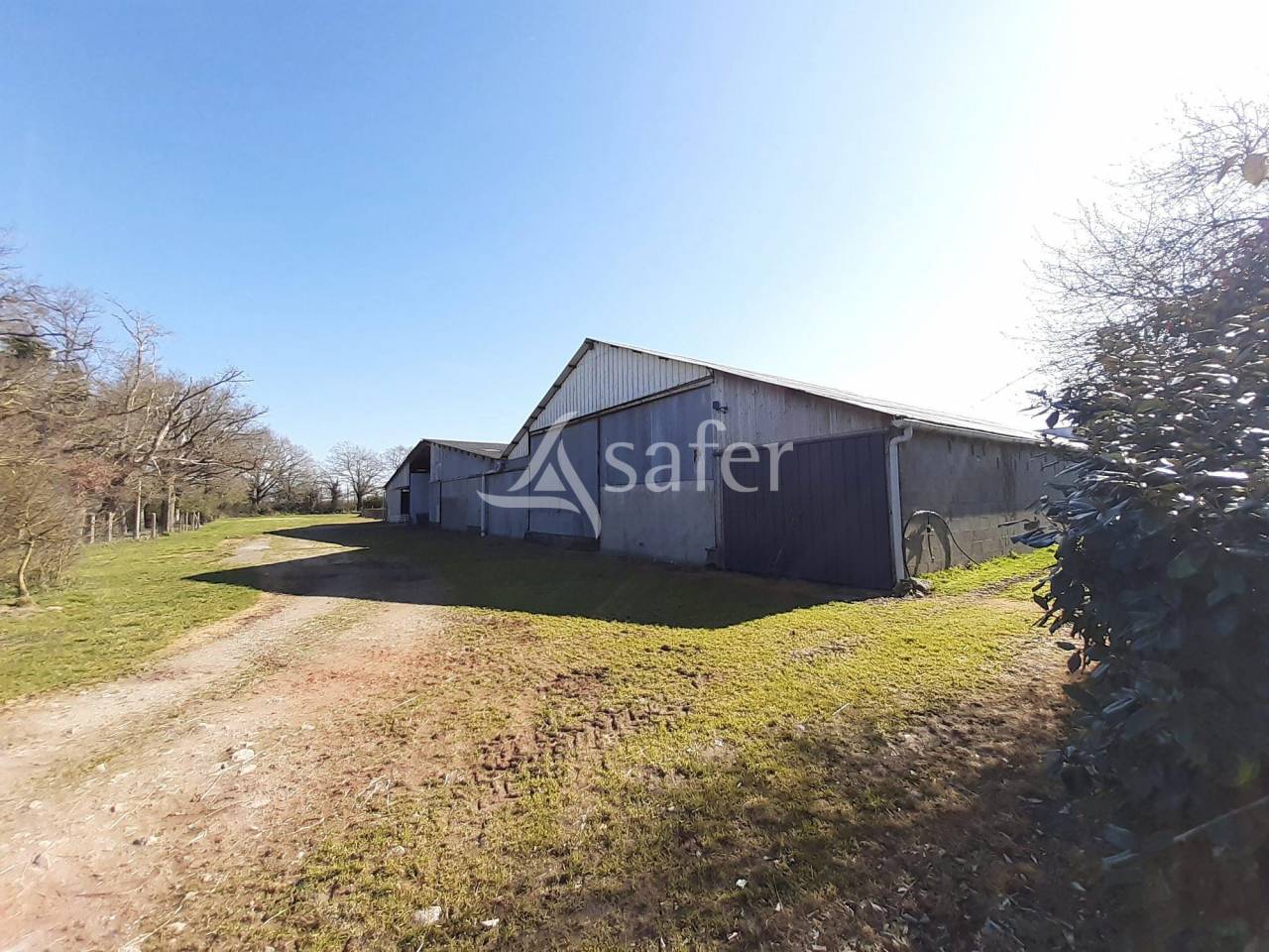 Schapen exploitatie Koop Deux-Sèvres