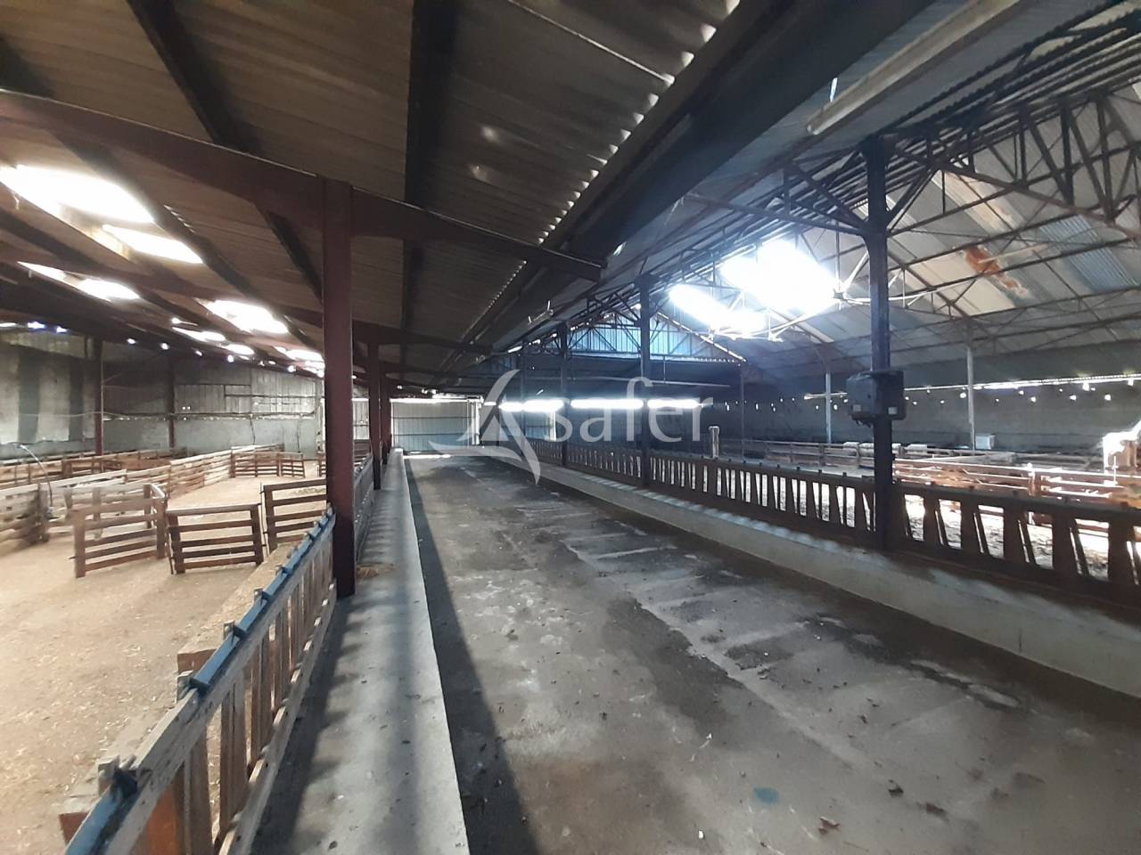 Schapen exploitatie Koop Deux-Sèvres