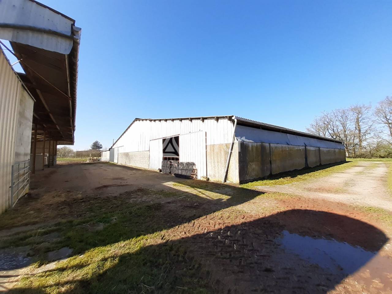 Schapen exploitatie Koop Deux-Sèvres