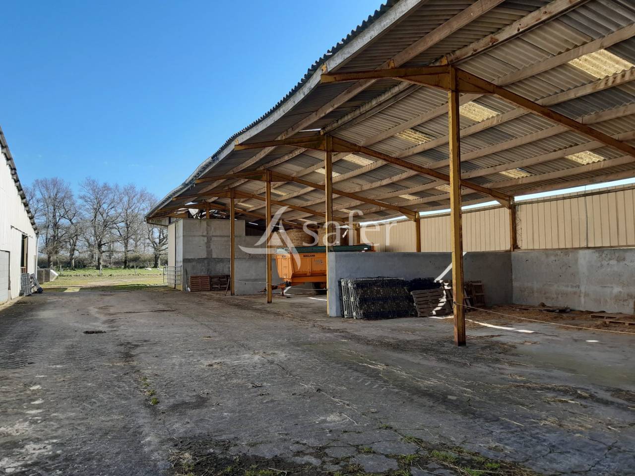 Schapen exploitatie Koop Deux-Sèvres