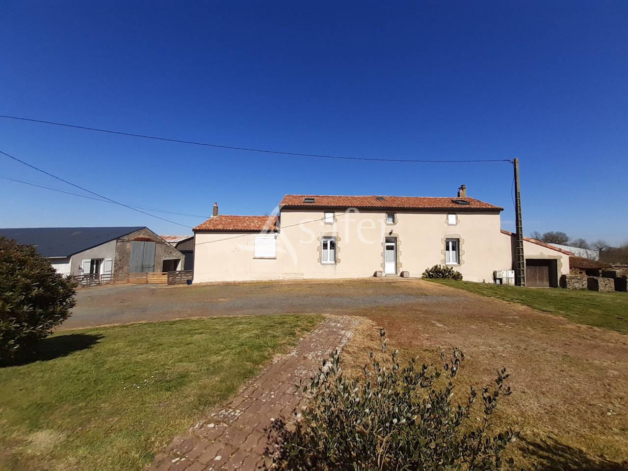 Schapen exploitatie Koop Deux-Sèvres