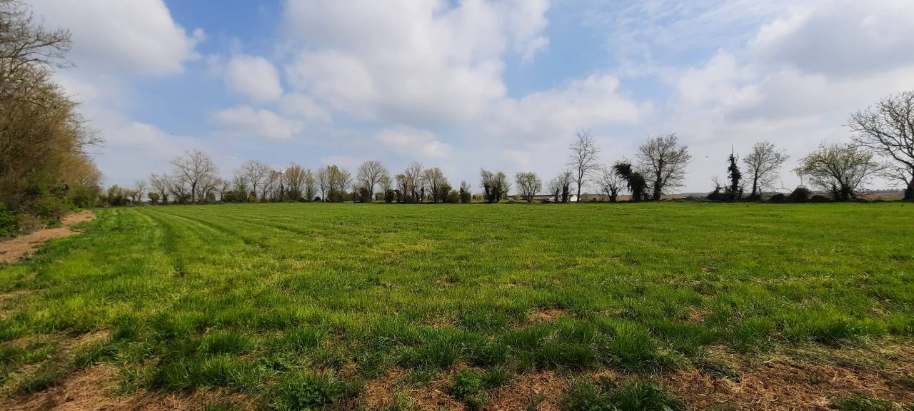 Hippisch vastgoed Koop Vendée