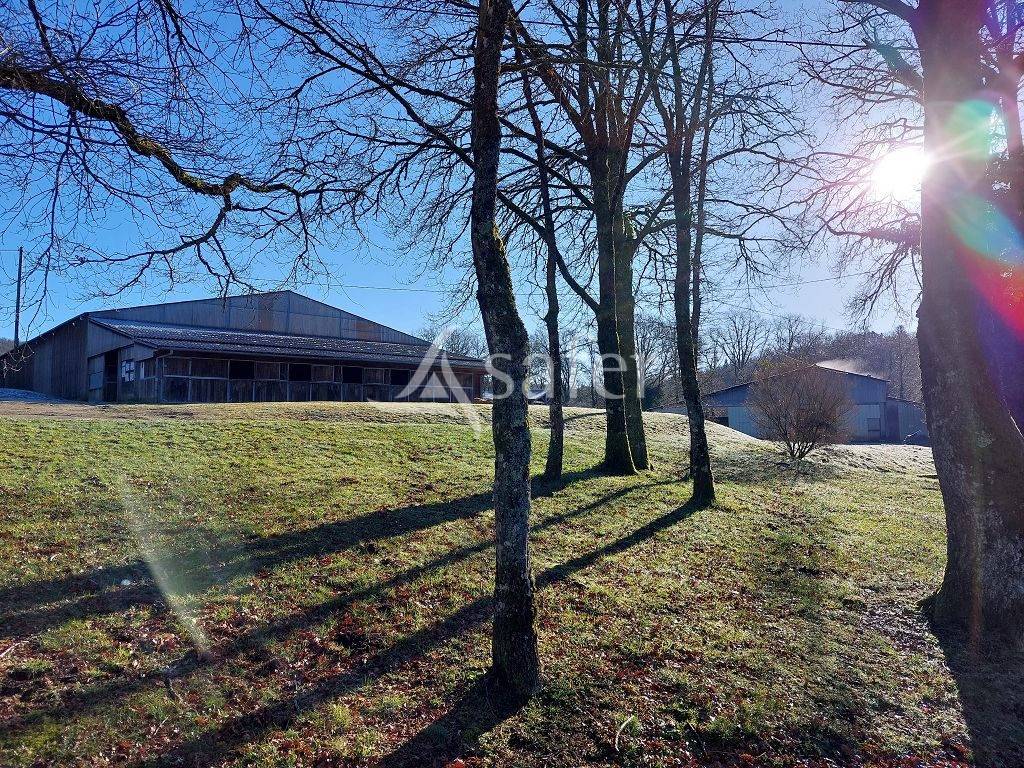 Hippisch vastgoed Koop Haute-Vienne