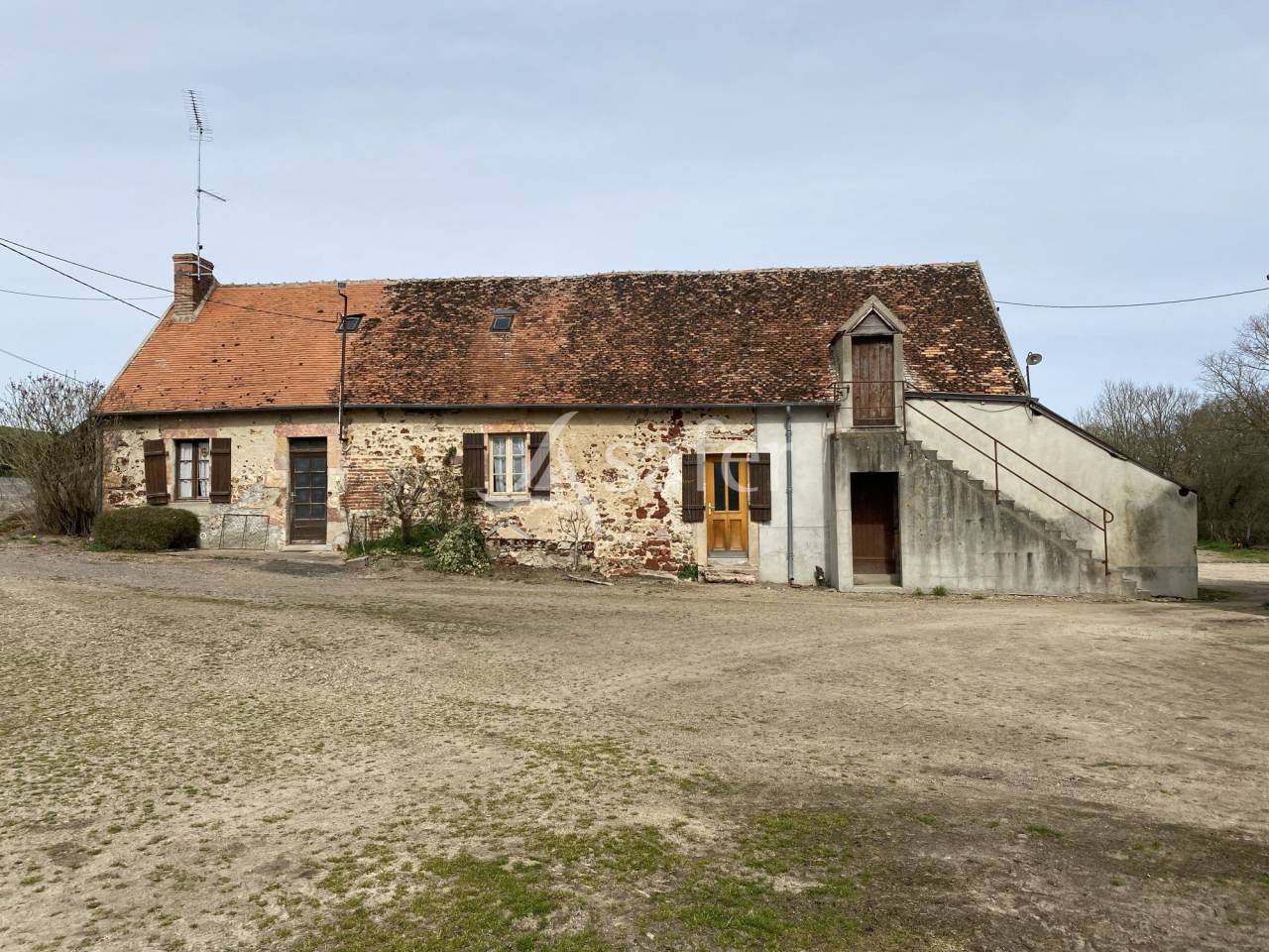 Schapen exploitatie Koop Allier