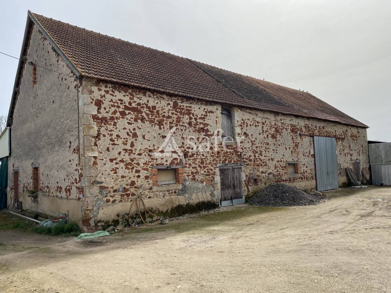 Schapen exploitatie Koop Allier