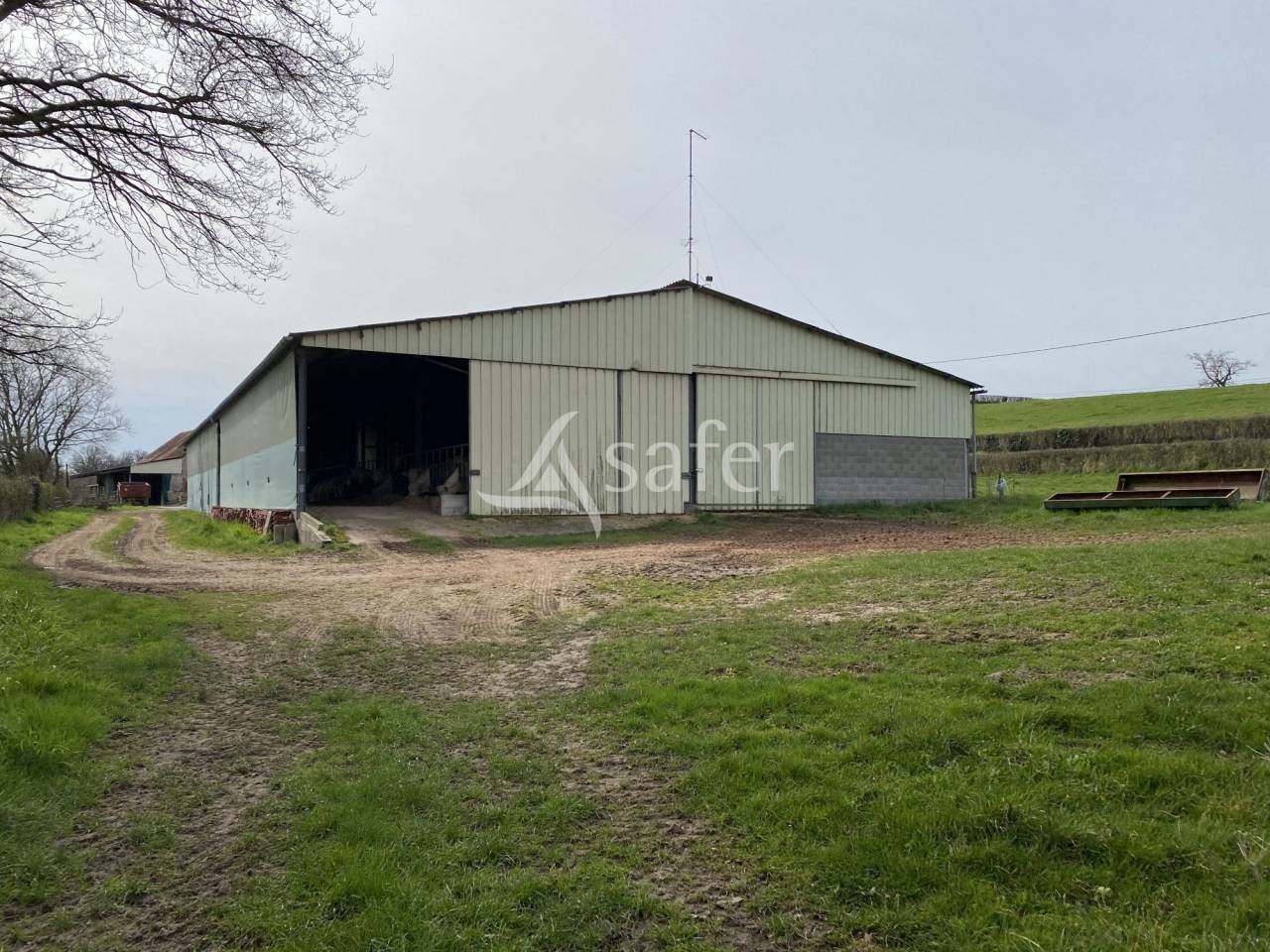 Schapen exploitatie Koop Allier