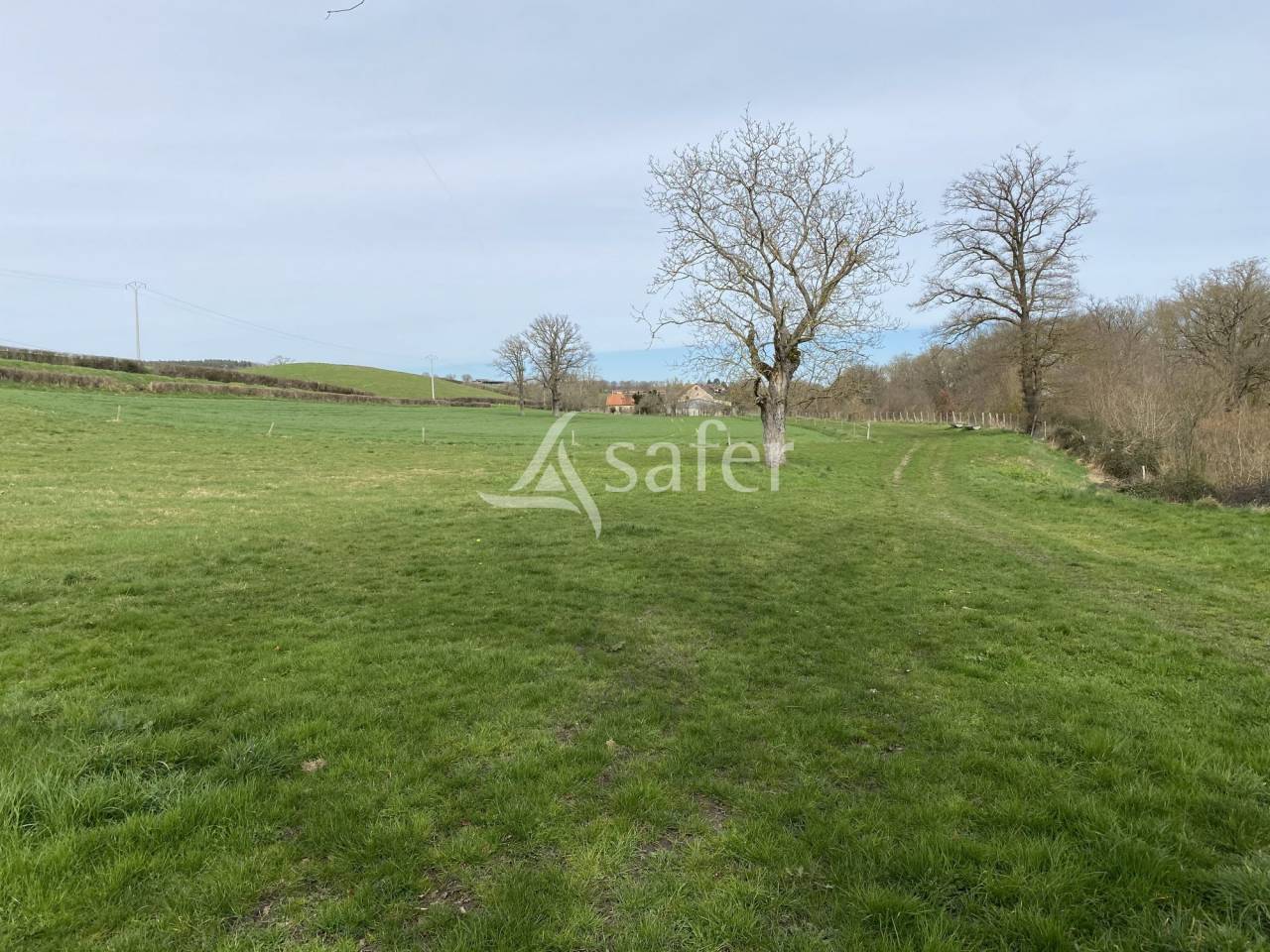 Schapen exploitatie Koop Allier