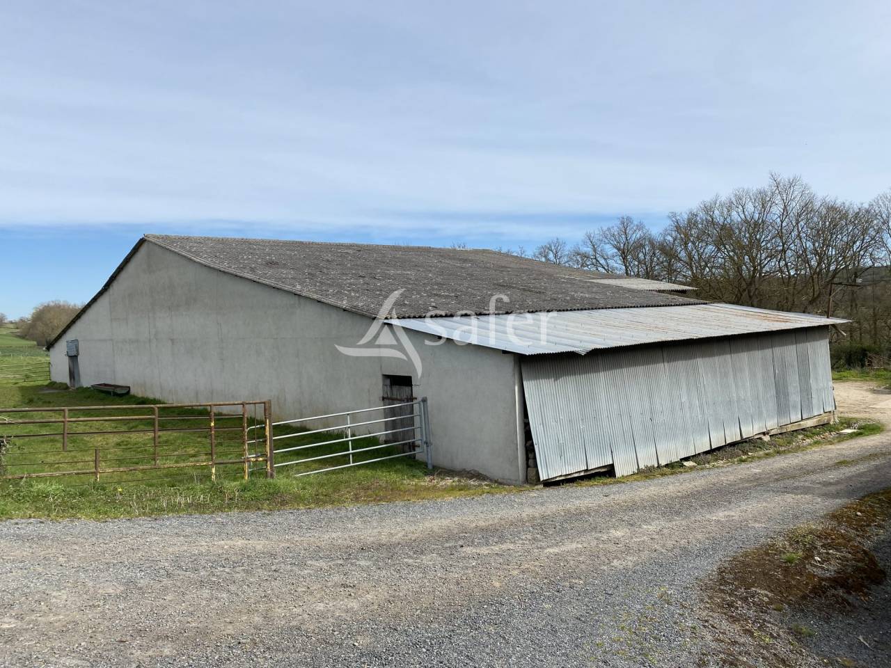 Schapen exploitatie Koop Allier