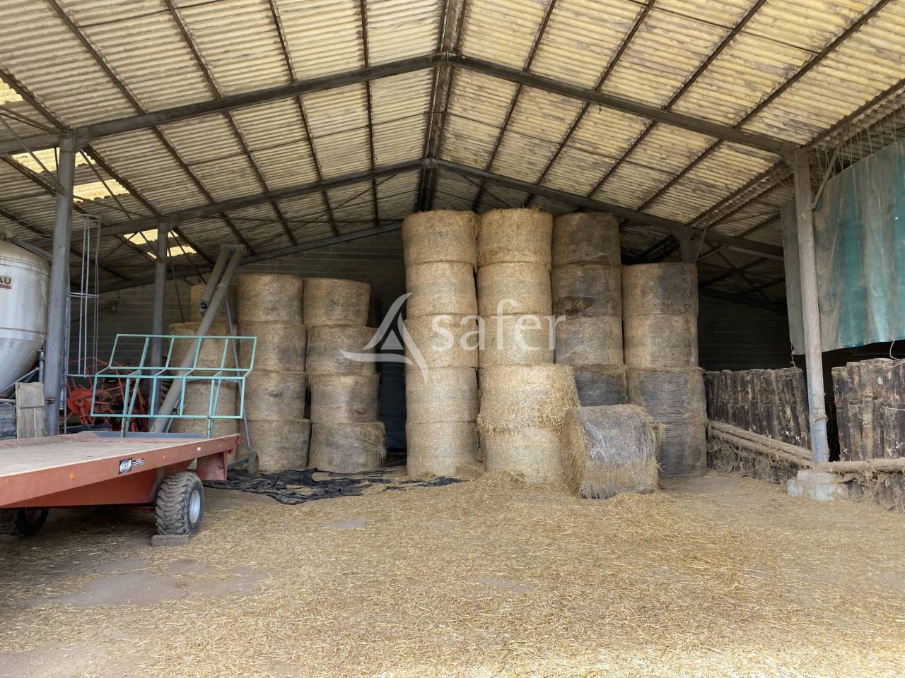 Schapen exploitatie Koop Allier