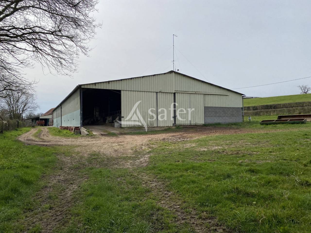 Schapen exploitatie Koop Allier