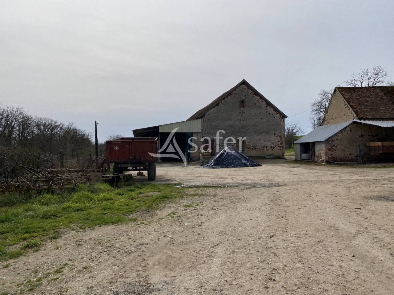 Schapen exploitatie Koop Allier