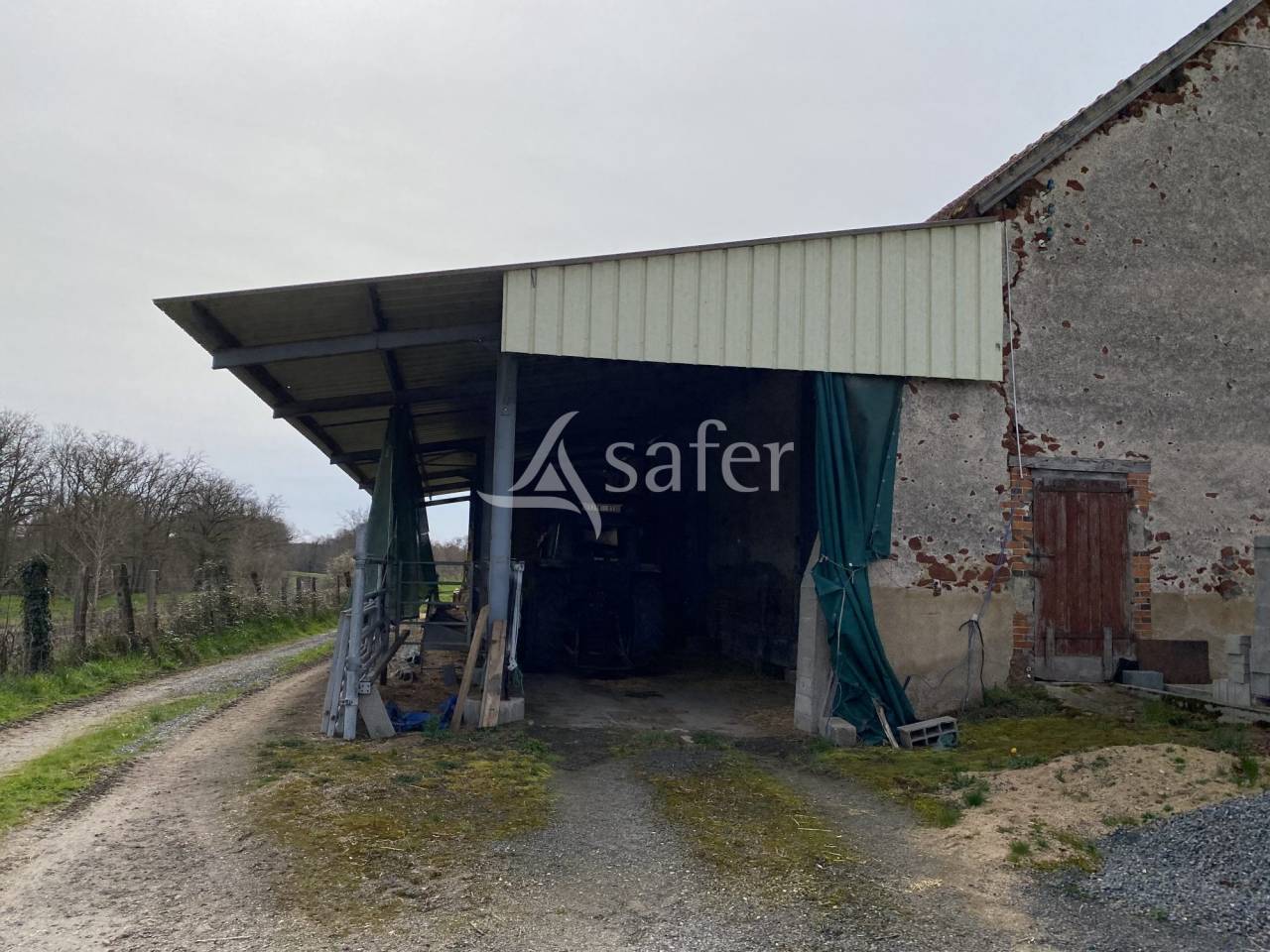 Schapen exploitatie Koop Allier