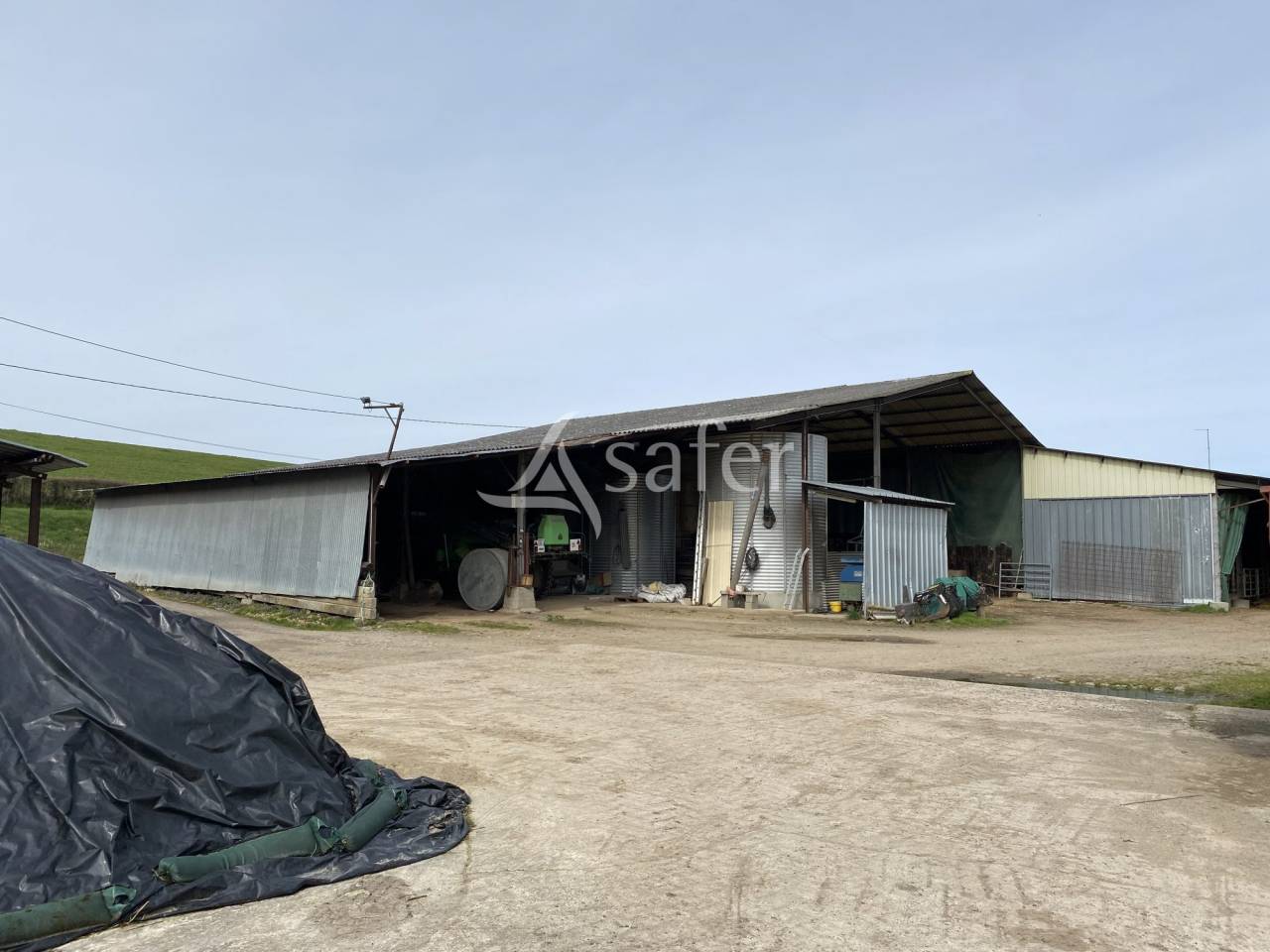 Schapen exploitatie Koop Allier