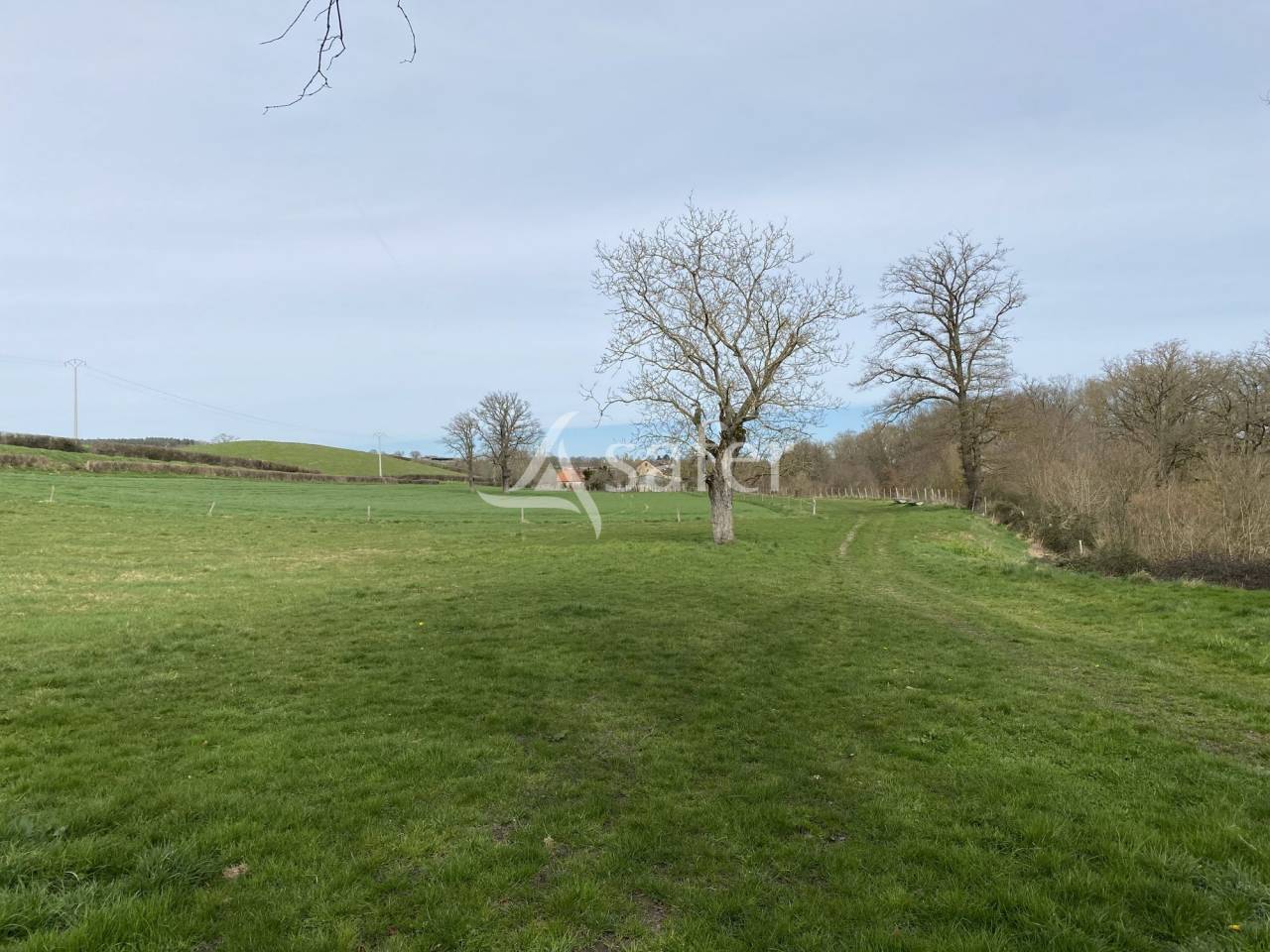 Schapen exploitatie Koop Allier