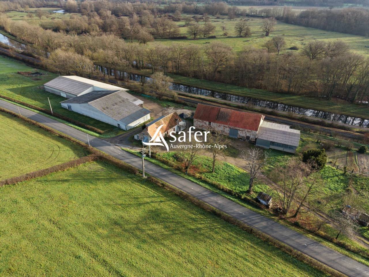 Schapen exploitatie Koop Allier