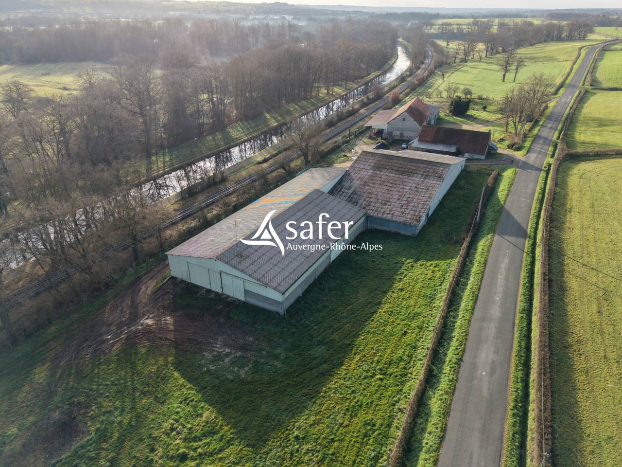 Schapen exploitatie Koop Allier