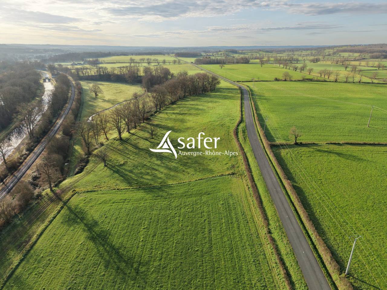 Schapen exploitatie Koop Allier