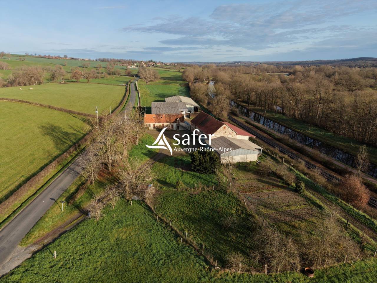 Schapen exploitatie Koop Allier