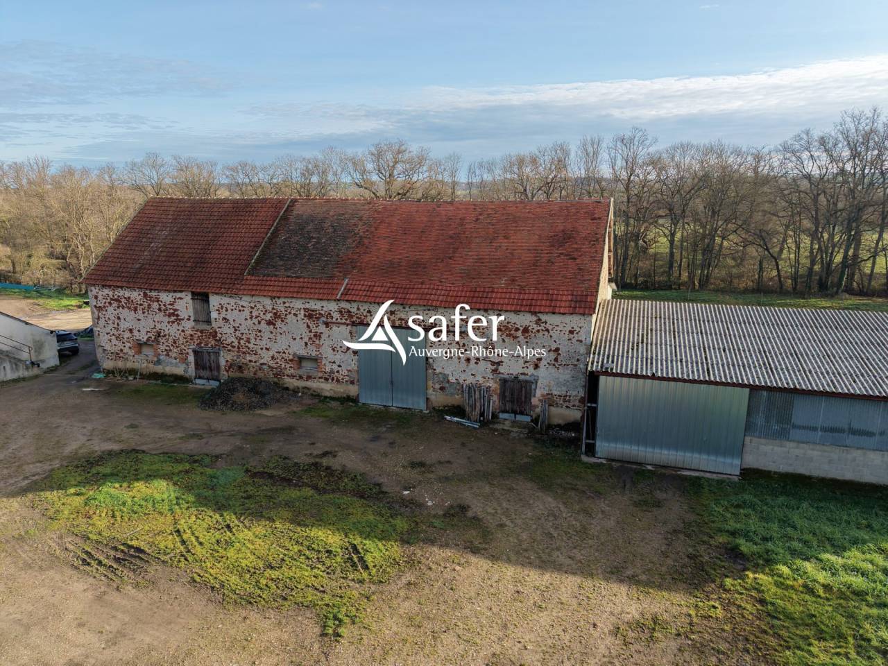 Schapen exploitatie Koop Allier