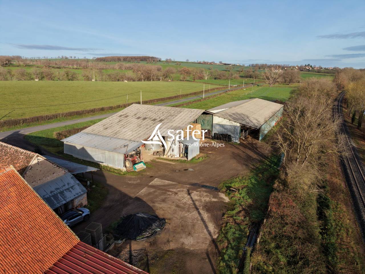 Schapen exploitatie Koop Allier