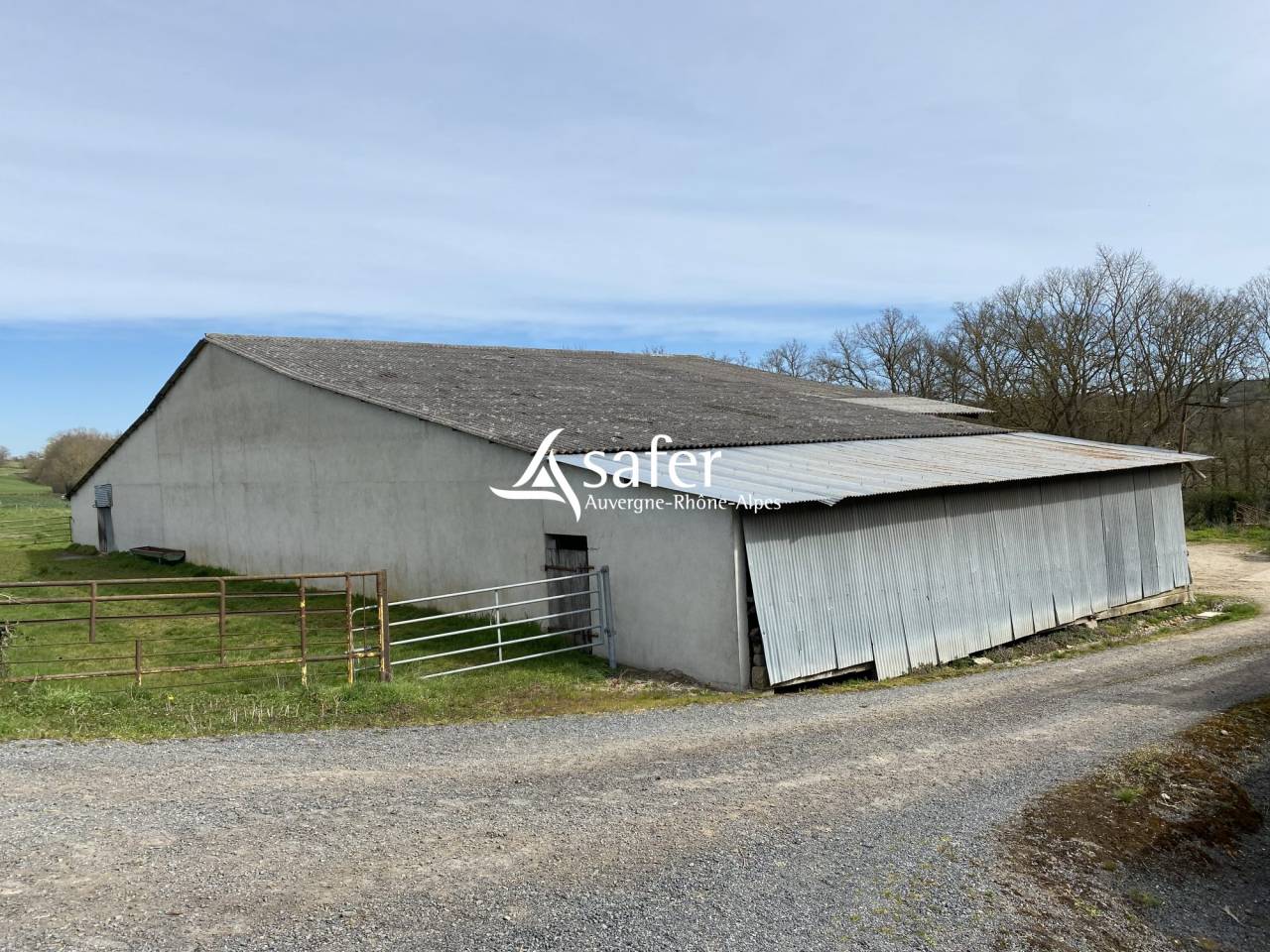 Schapen exploitatie Koop Allier