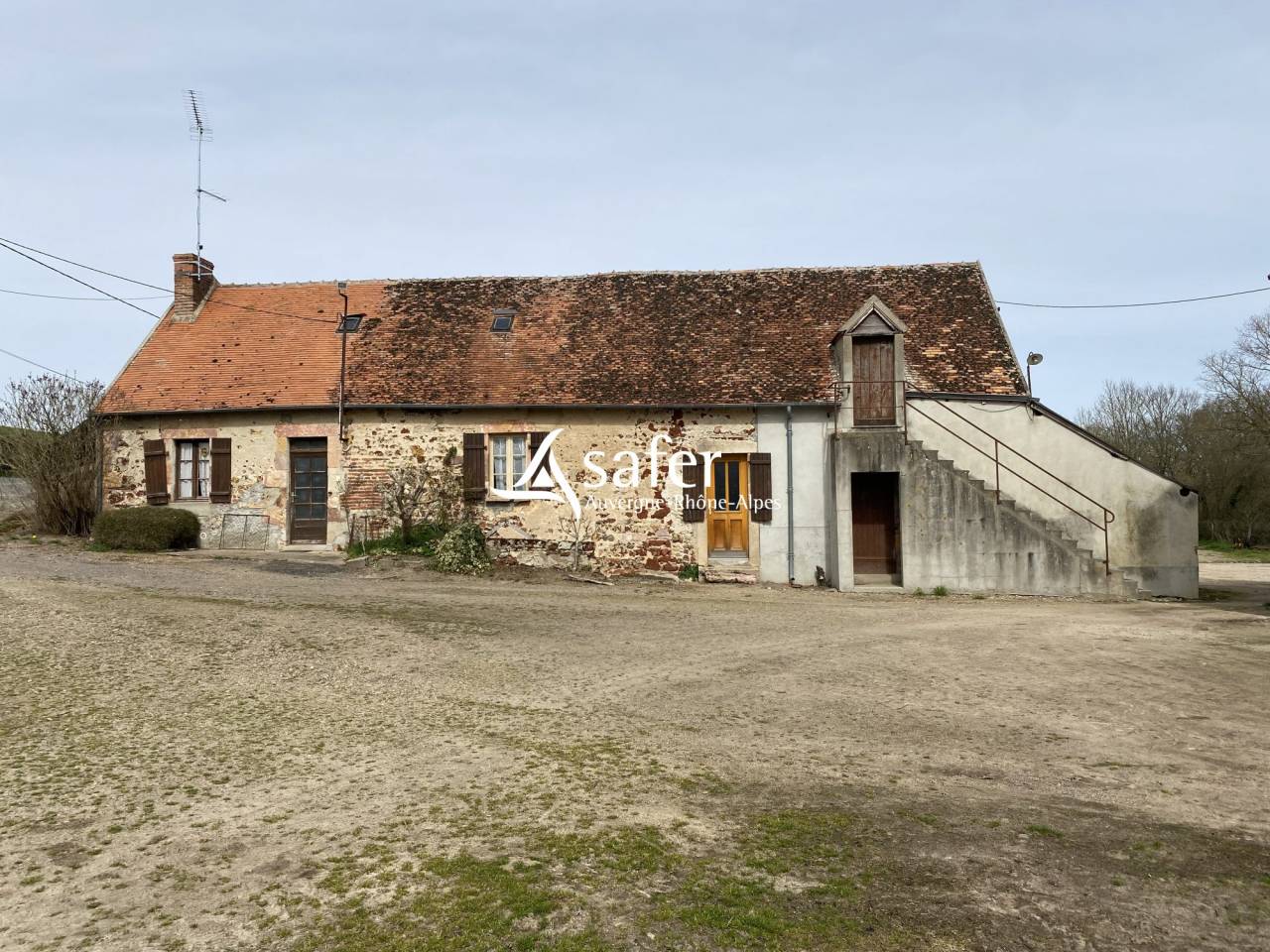 Schapen exploitatie Koop Allier