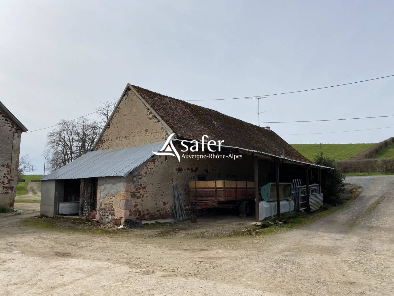 Schapen exploitatie Koop Allier