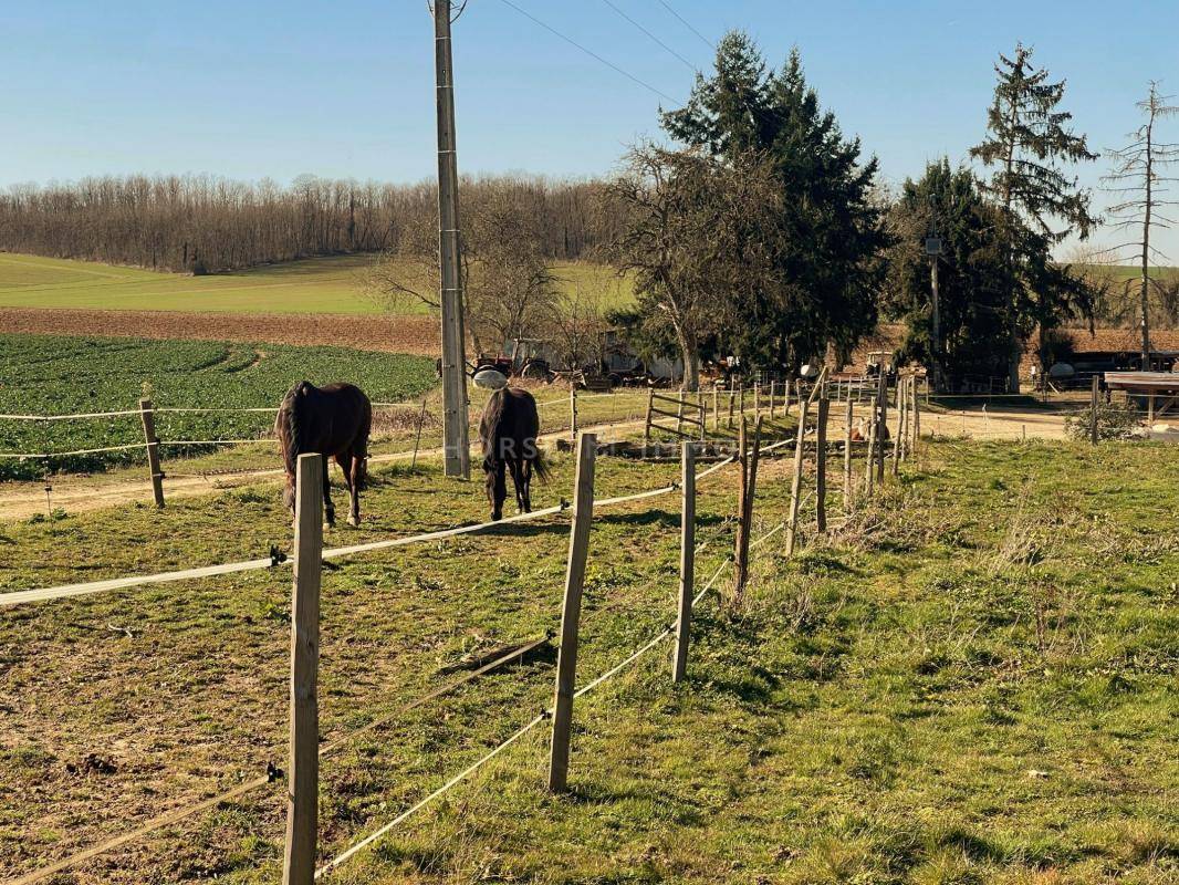 Ruiterclub Koop Yonne