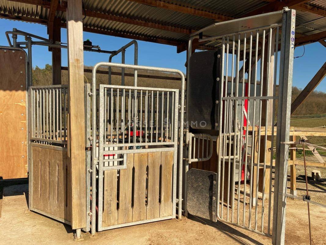 Ruiterclub Koop Yonne