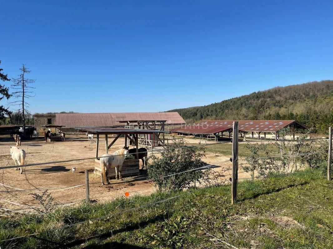 Ruiterclub Koop Yonne