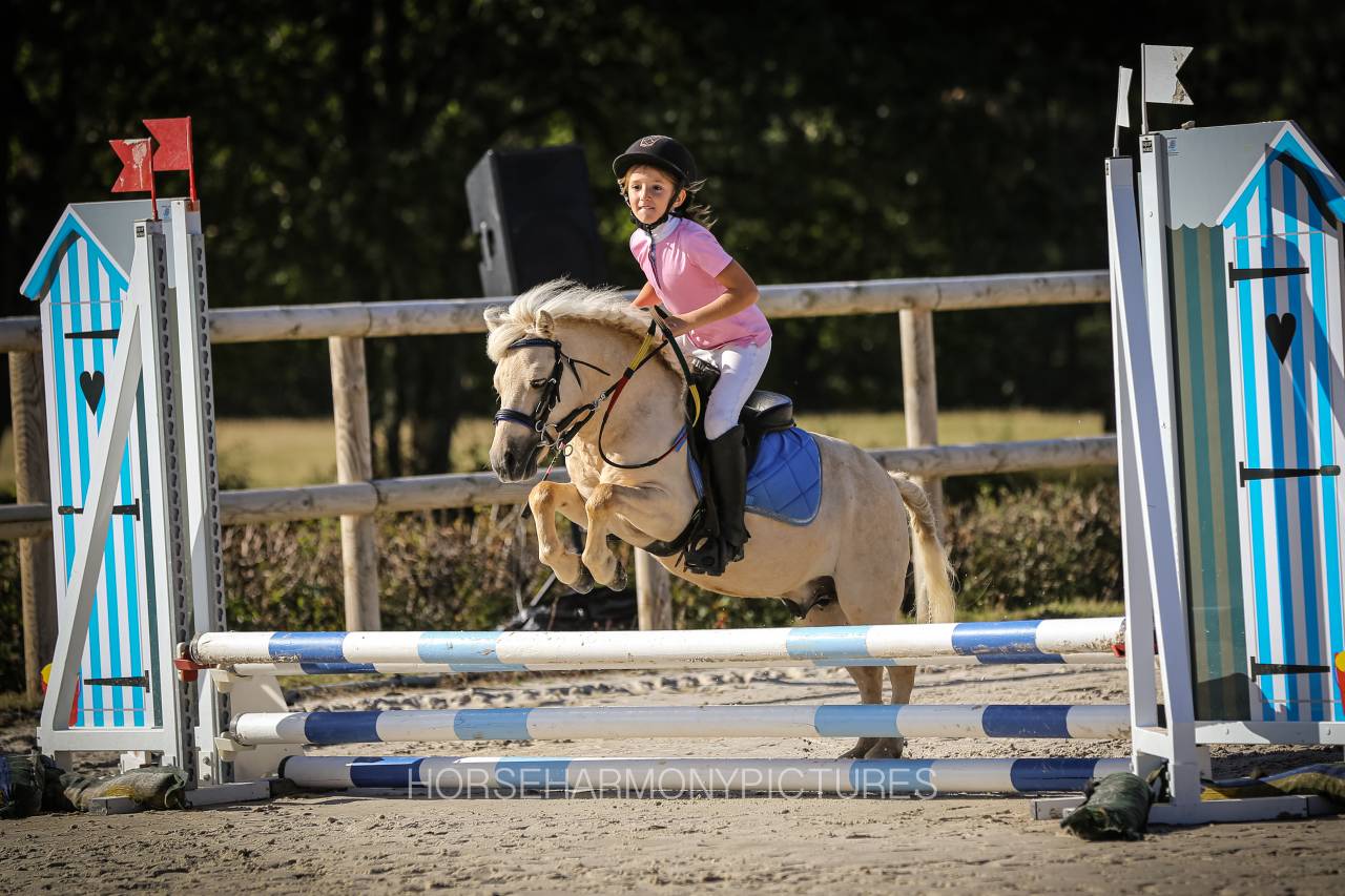 Merrie Bekend ras Te koop 2023 Palomino