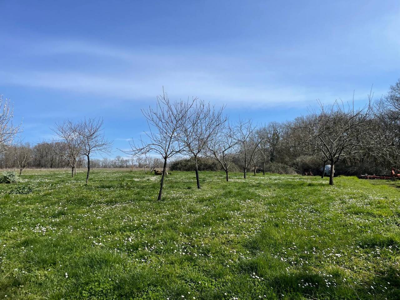 Hippisch vastgoed Koop Dordogne
