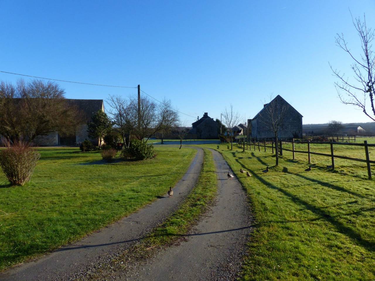 Paarden accommodatie Koop Indre