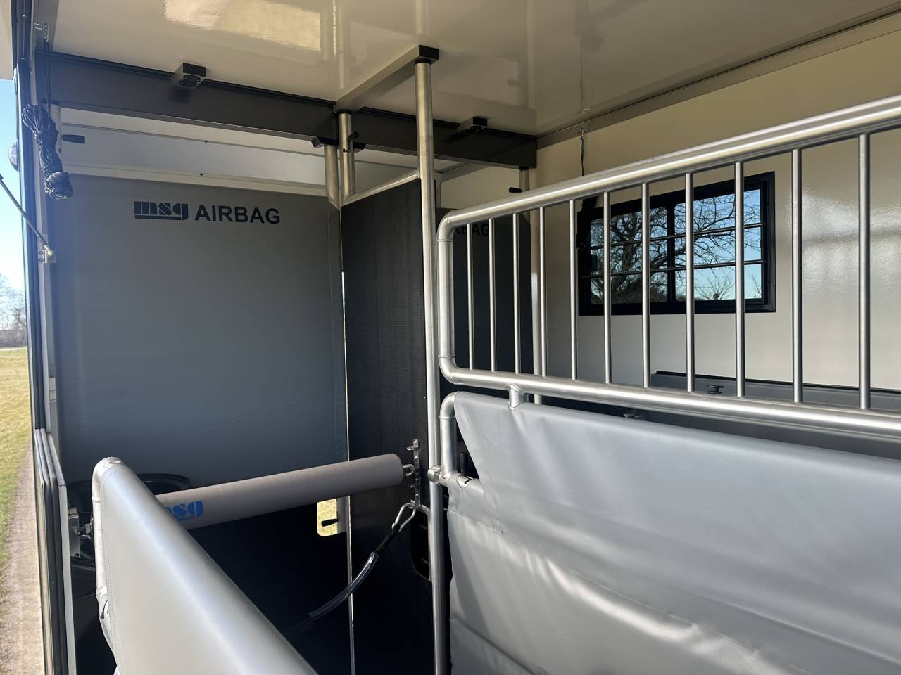 Kleine paardenvrachtwagen (B rijbewijs) Iveco IVECO 0 Nieuw