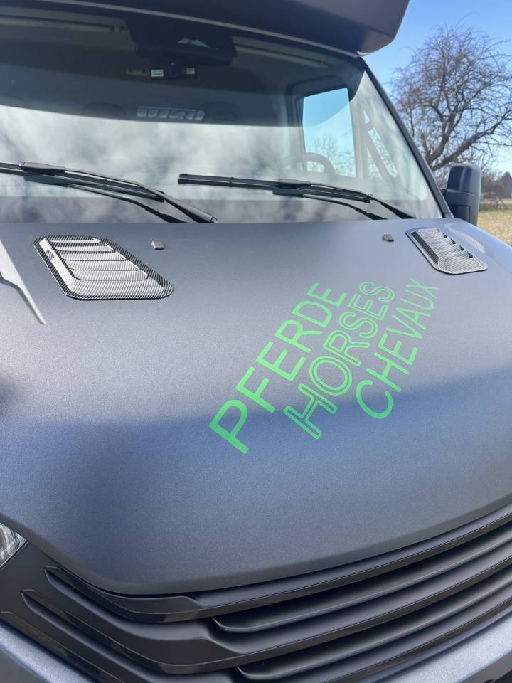 Kleine paardenvrachtwagen (B rijbewijs) Iveco IVECO 0 Nieuw