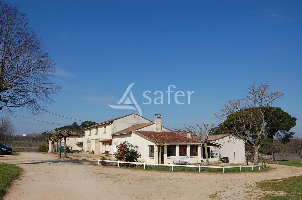 Wijn exploitatie Koop Gironde