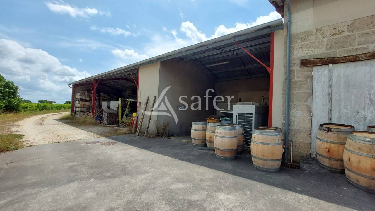 Wijn exploitatie Koop Gironde