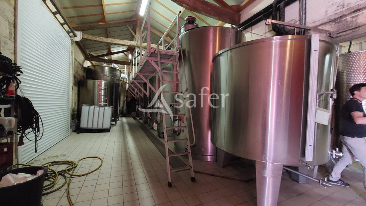 Wijn exploitatie Koop Gironde