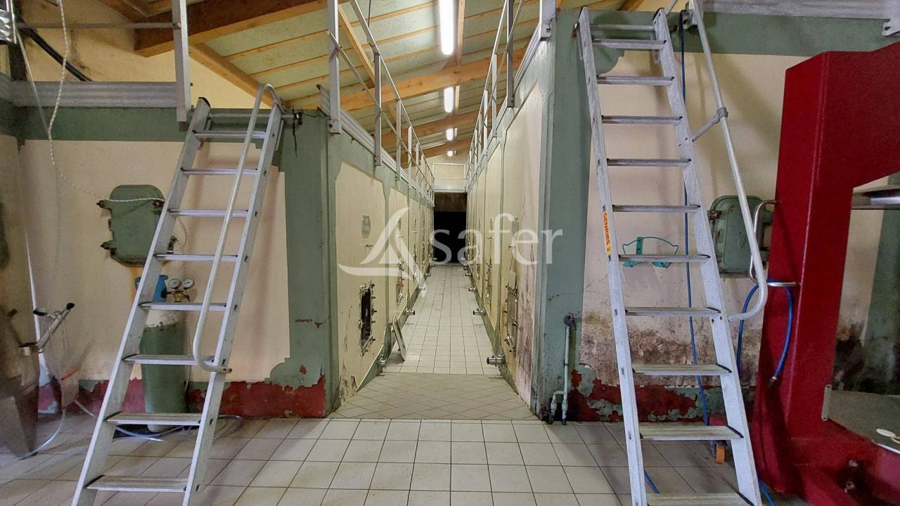 Wijn exploitatie Koop Gironde