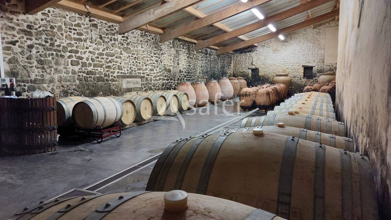 Wijn exploitatie Koop Gironde