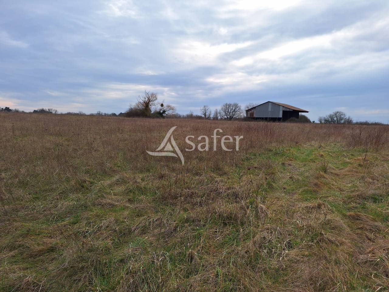 Ander plattelands vastgoed Koop Loir-et-Cher