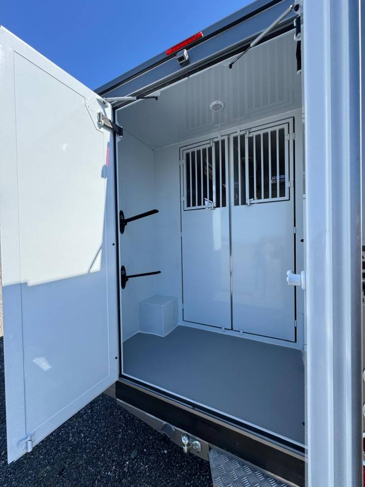 Kleine paardenvrachtwagen (B rijbewijs) TBST Renault Master 2025 Nieuw