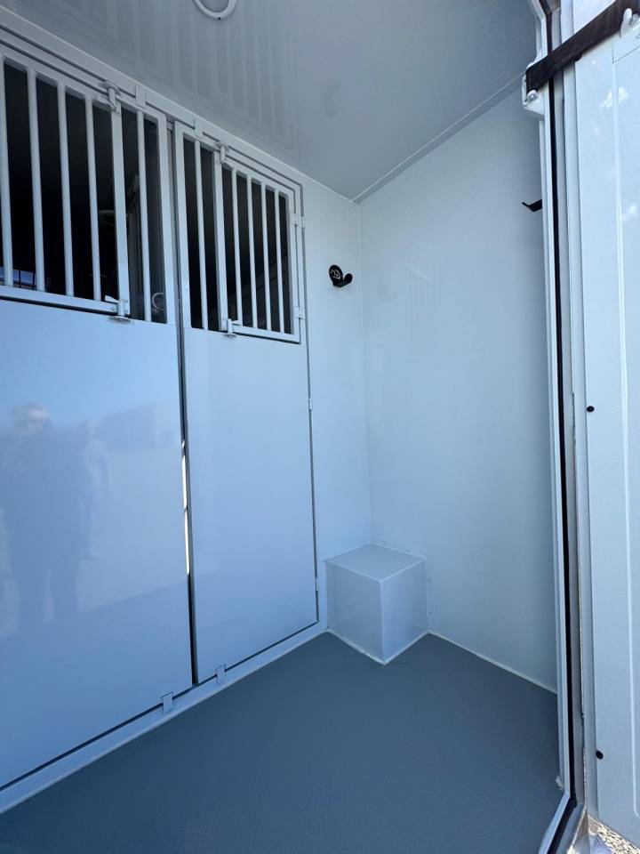 Kleine paardenvrachtwagen (B rijbewijs) TBST Renault Master 2025 Nieuw