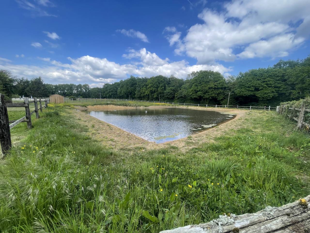 Hippisch vastgoed Koop Eure