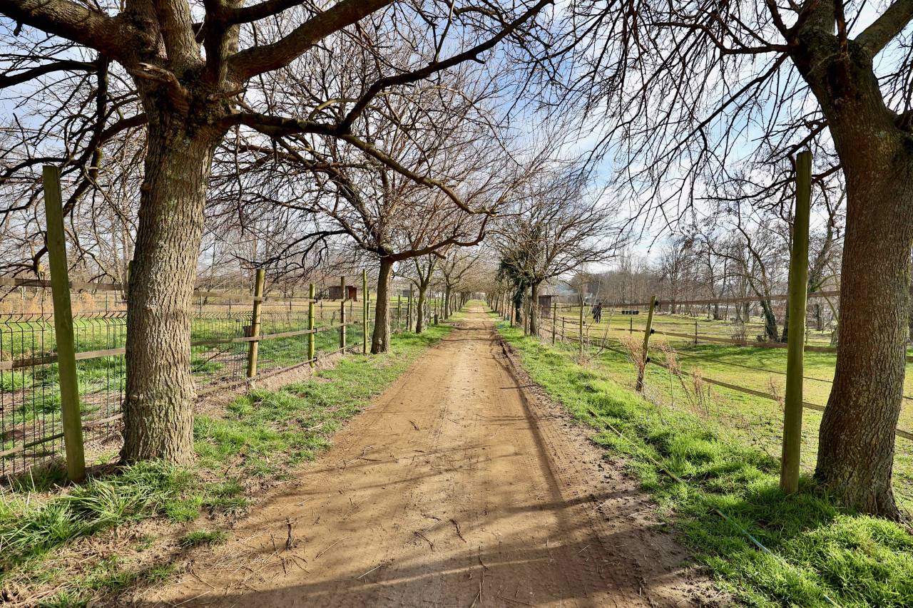 Hippisch vastgoed Koop Drôme