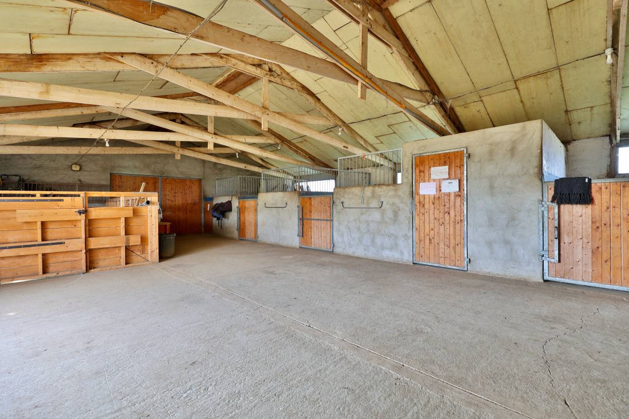 Hippisch vastgoed Koop Drôme