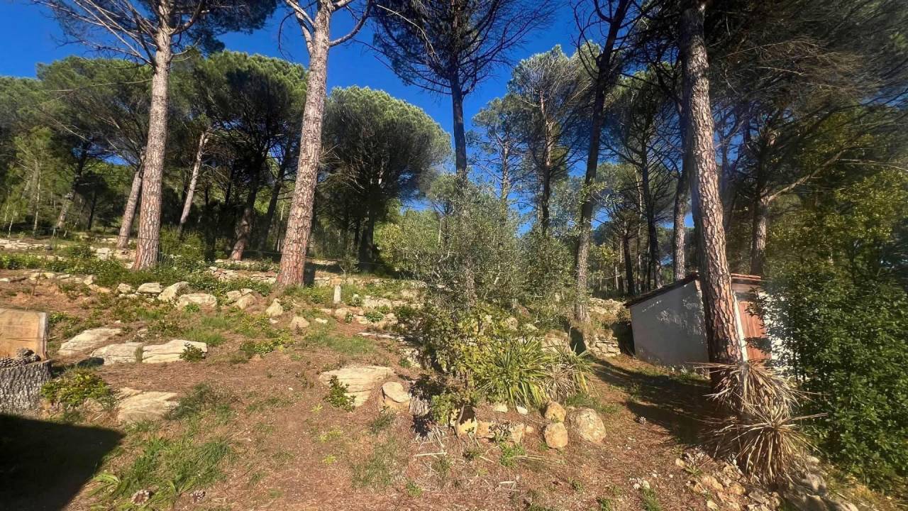 Hippisch vastgoed Koop Var