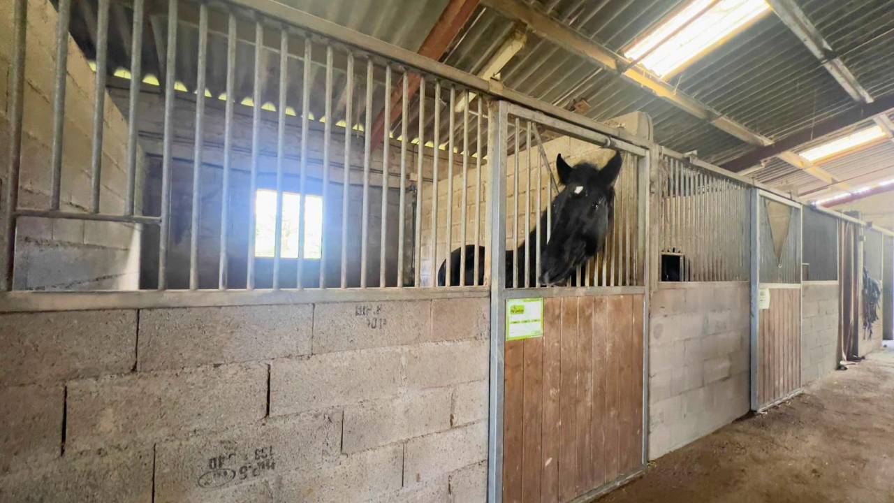 Hippisch vastgoed Koop Gers
