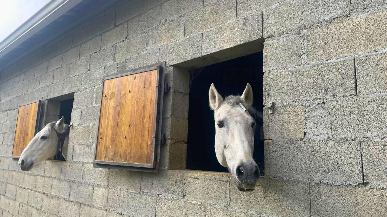 Hippisch vastgoed Koop Gers